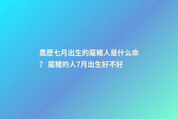 農歷七月出生的屬豬人是什么命？ 屬豬的人7月出生好不好-第1張-觀點-玄機派